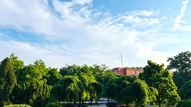 北京柏木体育训练基地