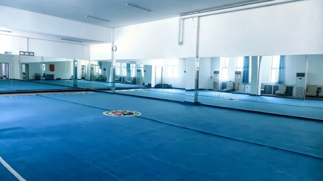 武术