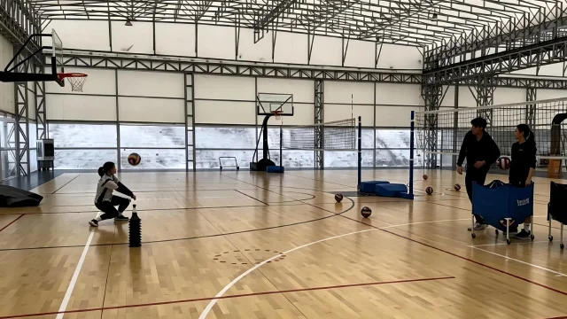 排球